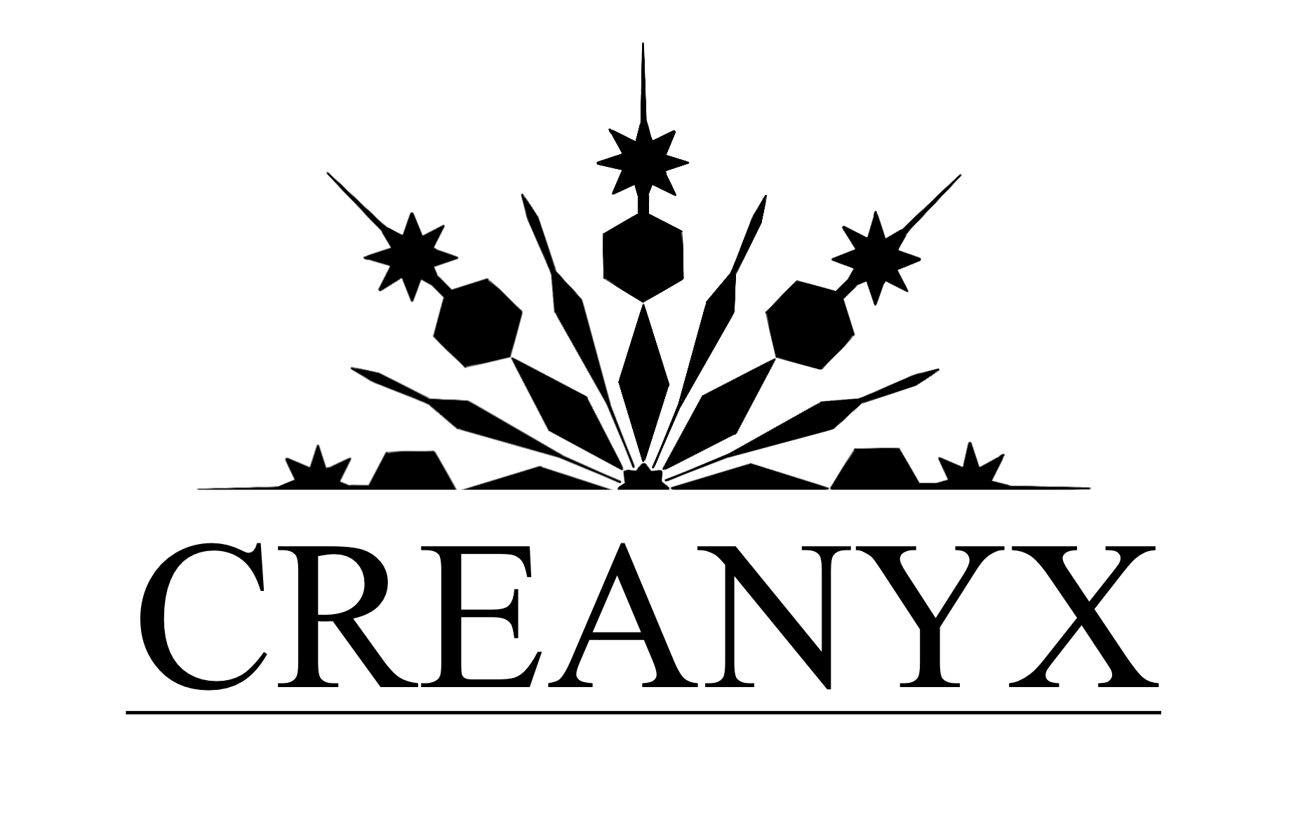creanyx.fr
